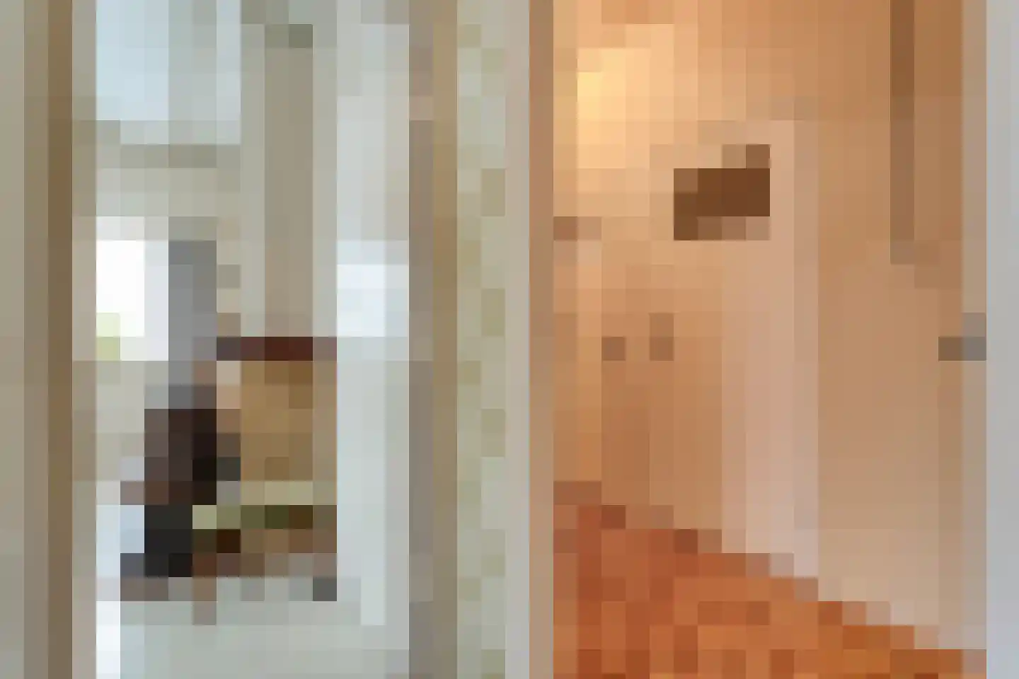 Westeinde 444 Vriezenveen thumbnail 17