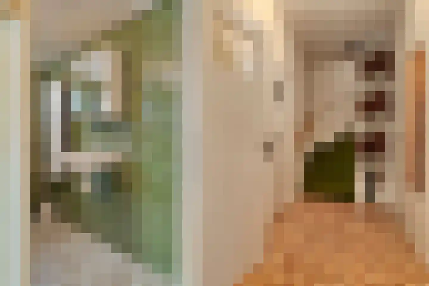 Westeinde 444 Vriezenveen thumbnail 22