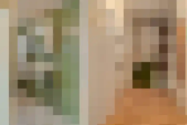 Westeinde 444 Vriezenveen thumbnail 22