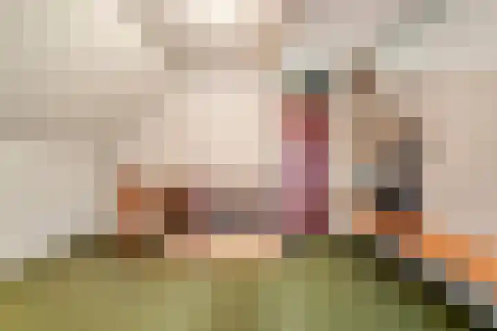 Westeinde 444 Vriezenveen thumbnail 32