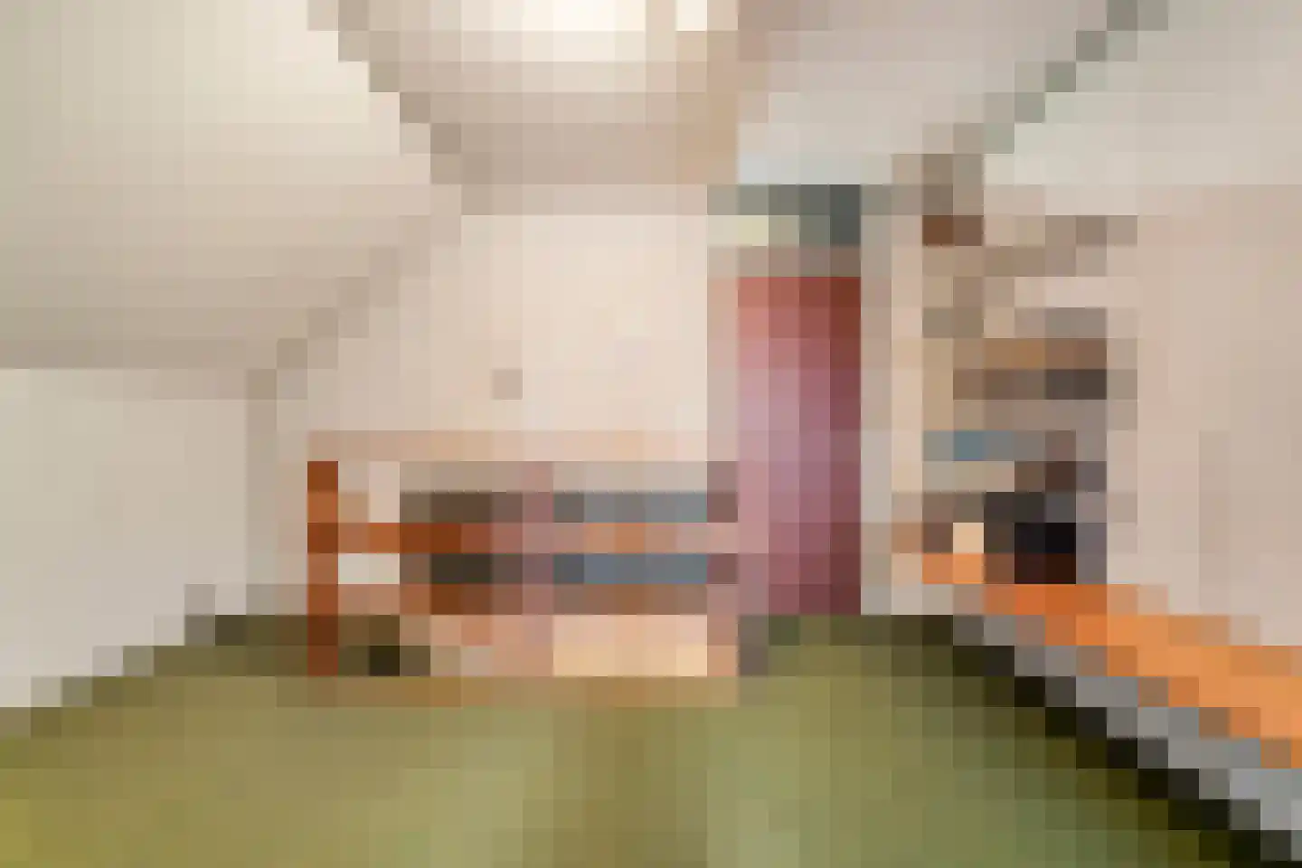 Westeinde 444 Vriezenveen thumbnail 32