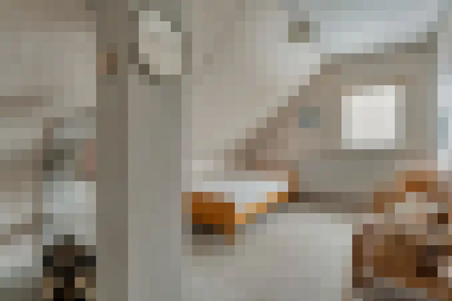 Westeinde 444 Vriezenveen thumbnail 34