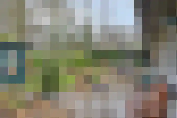 Westeinde 444 Vriezenveen thumbnail 36