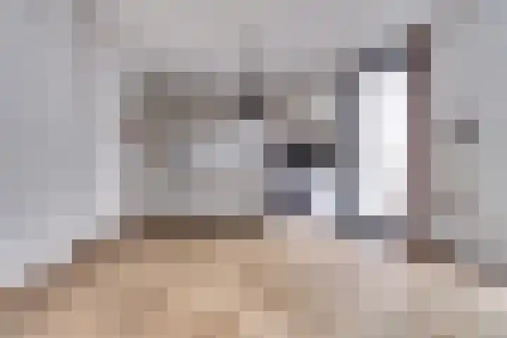 Westeinde 444 Vriezenveen thumbnail 6