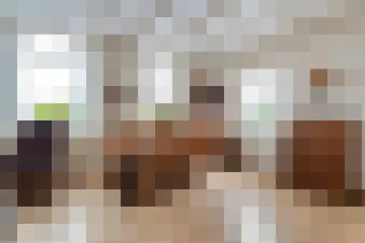 Westeinde 444 Vriezenveen thumbnail 9