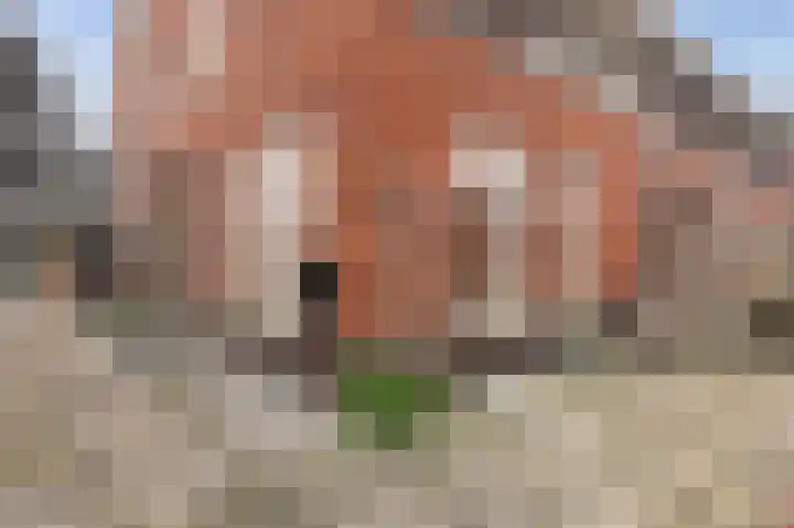 Westeinde 489 Vriezenveen thumbnail 41