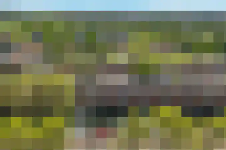 Westeinde 489 Vriezenveen thumbnail 48