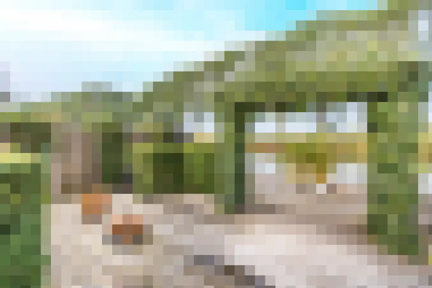 Westeinde 49 Oosthuizen thumbnail 4