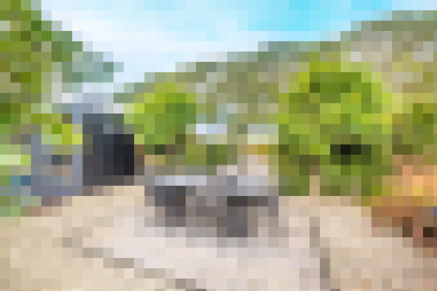 Westeinde 49 Oosthuizen thumbnail 47