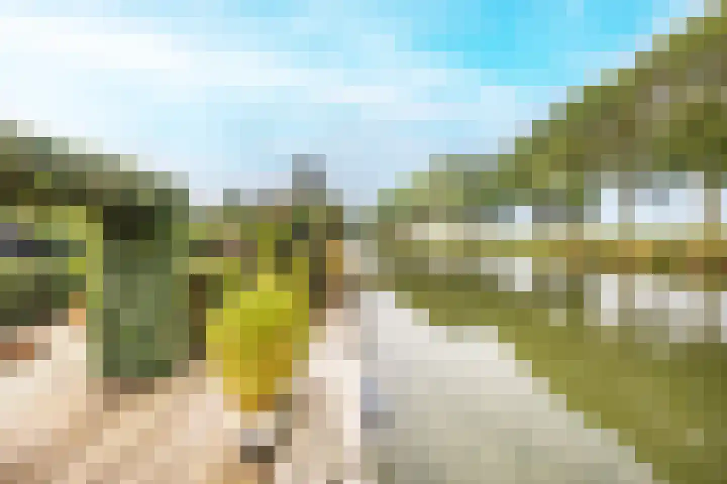 Westeinde 49 Oosthuizen thumbnail 48