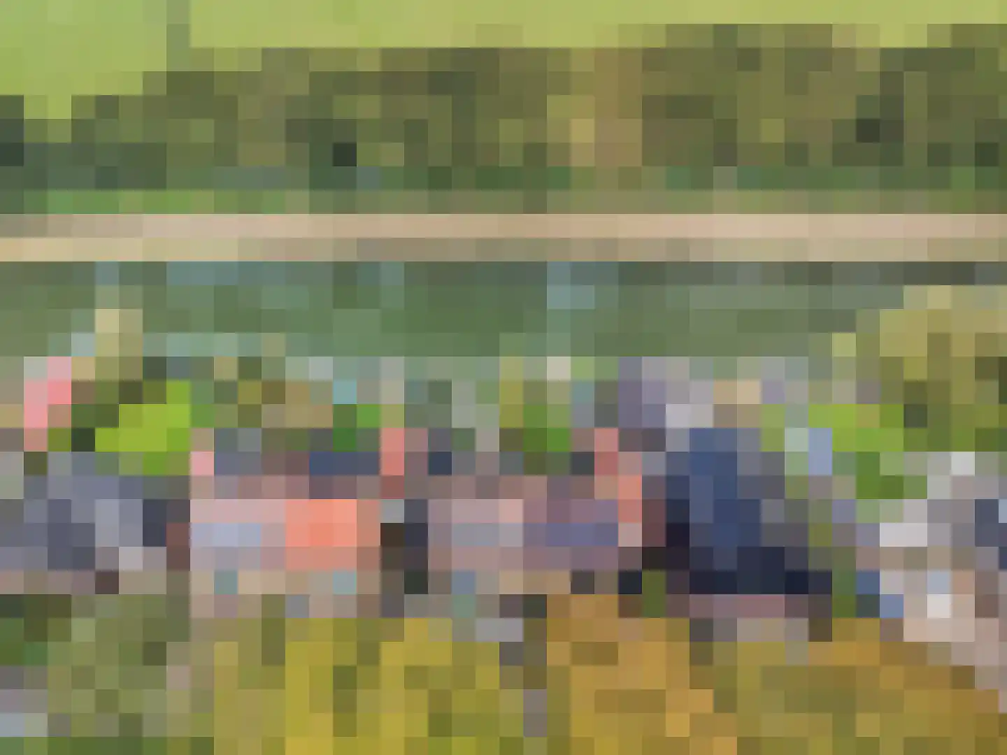 Westeinde 49 Oosthuizen thumbnail 57