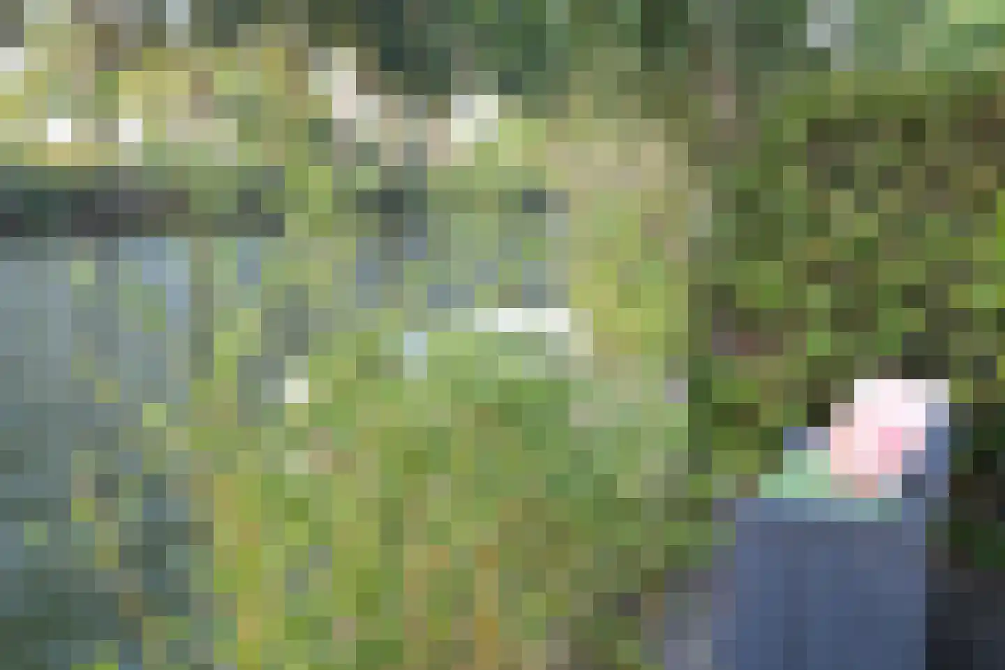 Westeinde 49 Oosthuizen thumbnail 61
