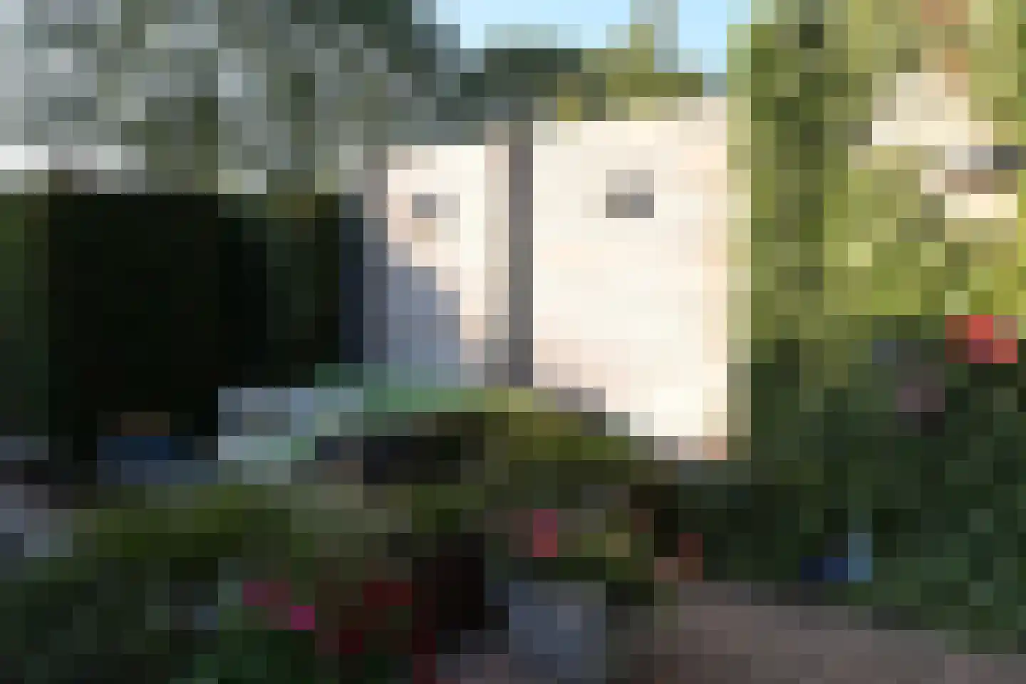 Westeinde 49 Oosthuizen thumbnail 63