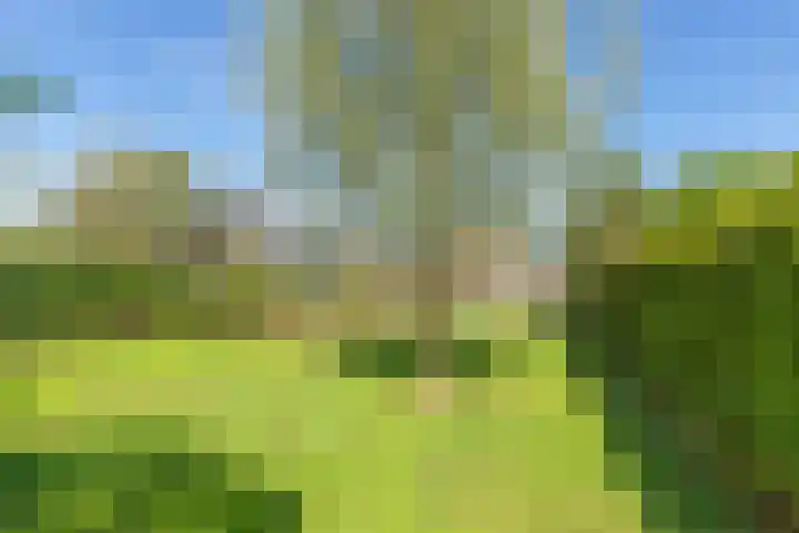 Westeinde 49 Roelofarendsveen thumbnail 11
