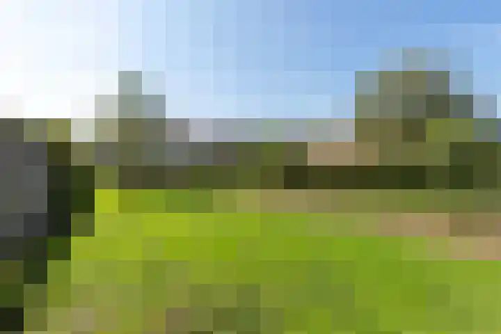 Westeinde 49 Roelofarendsveen thumbnail 12