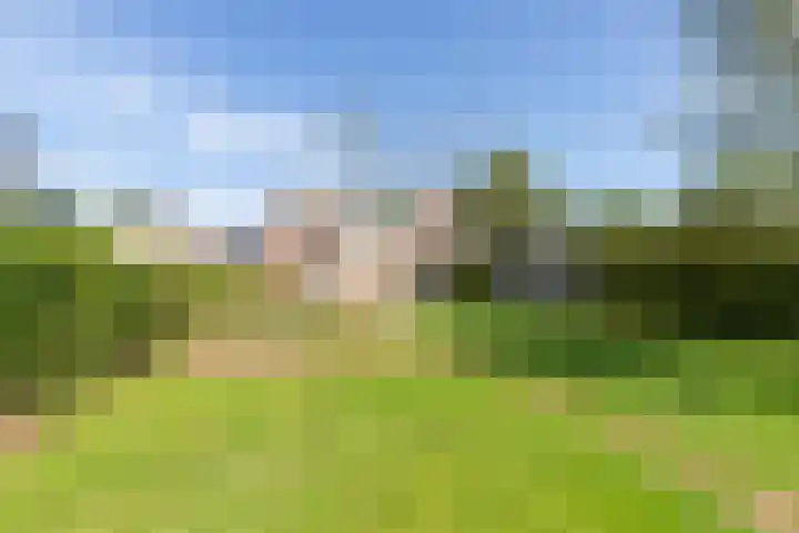 Westeinde 49 Roelofarendsveen thumbnail 14