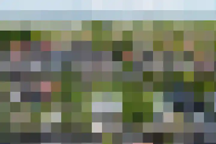 Westeinde 49 Roelofarendsveen thumbnail 15