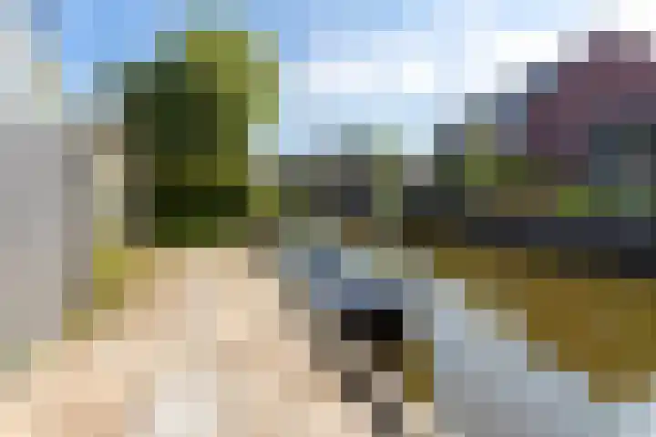 Westeinde 49 Roelofarendsveen thumbnail 16
