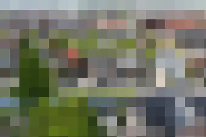 Westeinde 49 Roelofarendsveen thumbnail 17