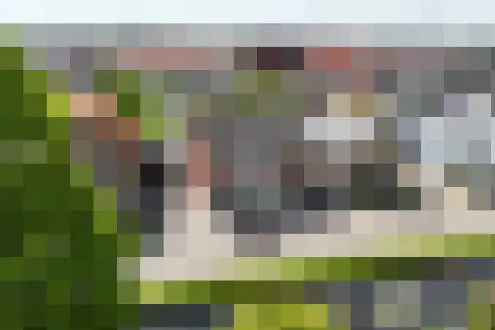 Westeinde 49 Roelofarendsveen thumbnail 18