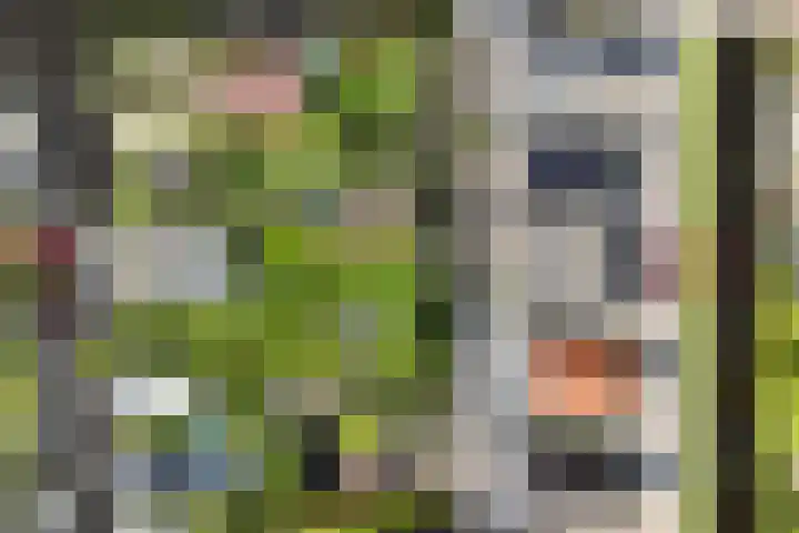 Westeinde 49 Roelofarendsveen thumbnail 4