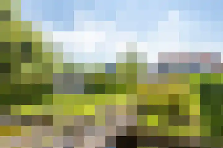 Westeinde 49 Roelofarendsveen thumbnail 5