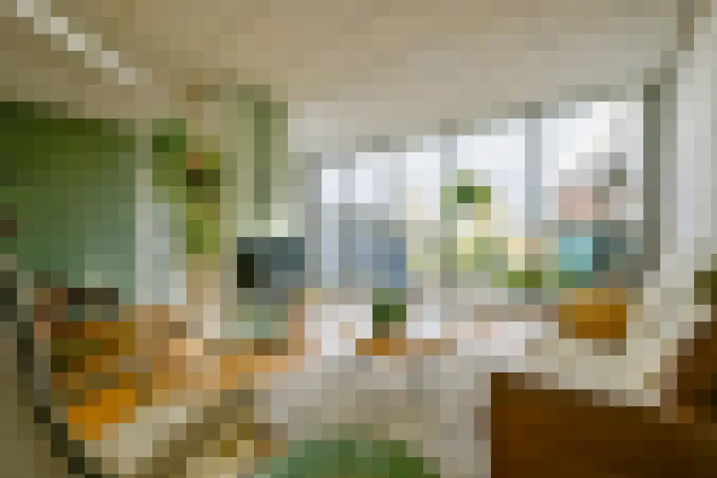 Westeinde 49 Schermerhorn thumbnail 11