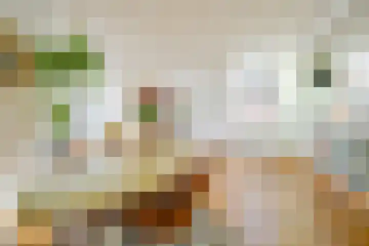 Westeinde 49 Schermerhorn thumbnail 11
