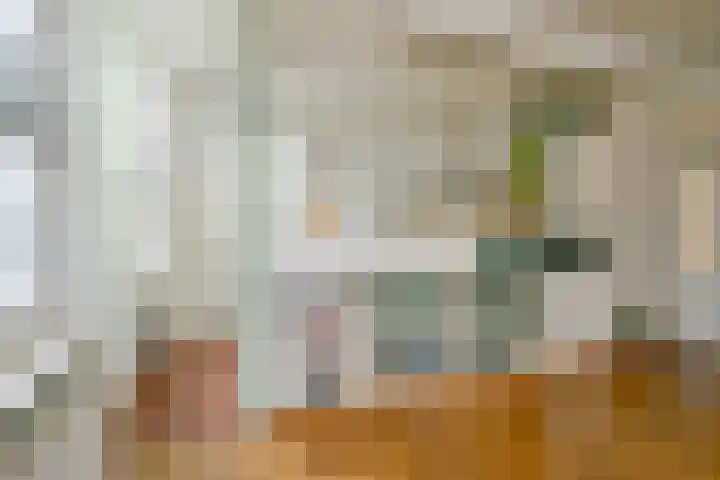 Westeinde 49 Schermerhorn thumbnail 13