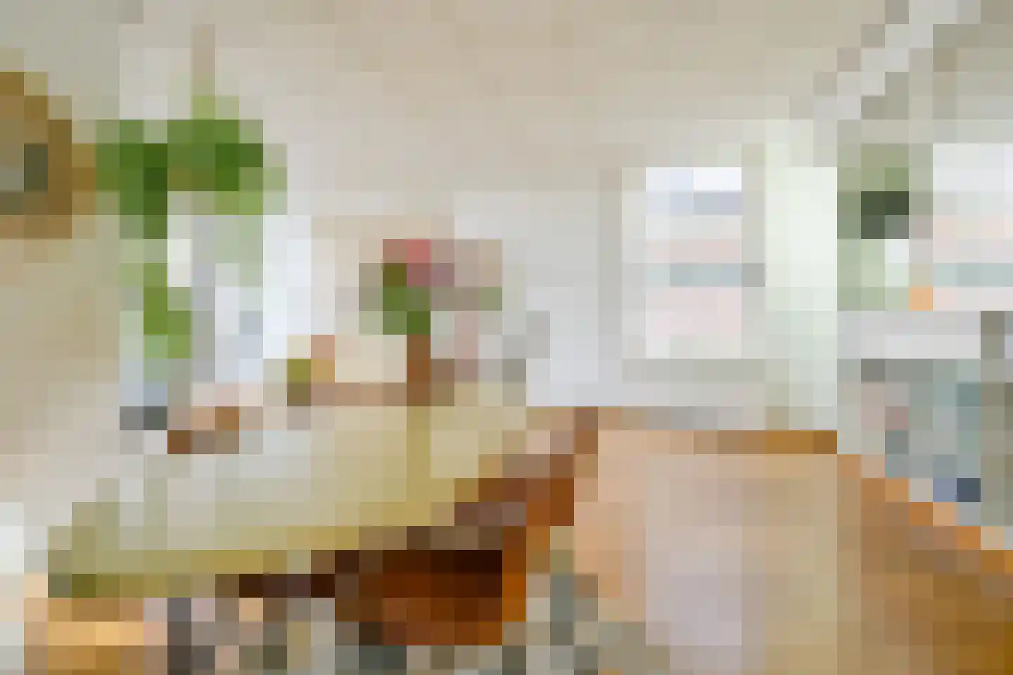 Westeinde 49 Schermerhorn thumbnail 14