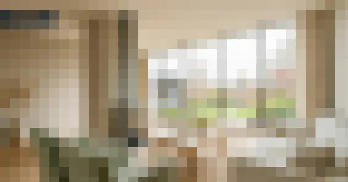 Westeinde 49 Schermerhorn thumbnail 16