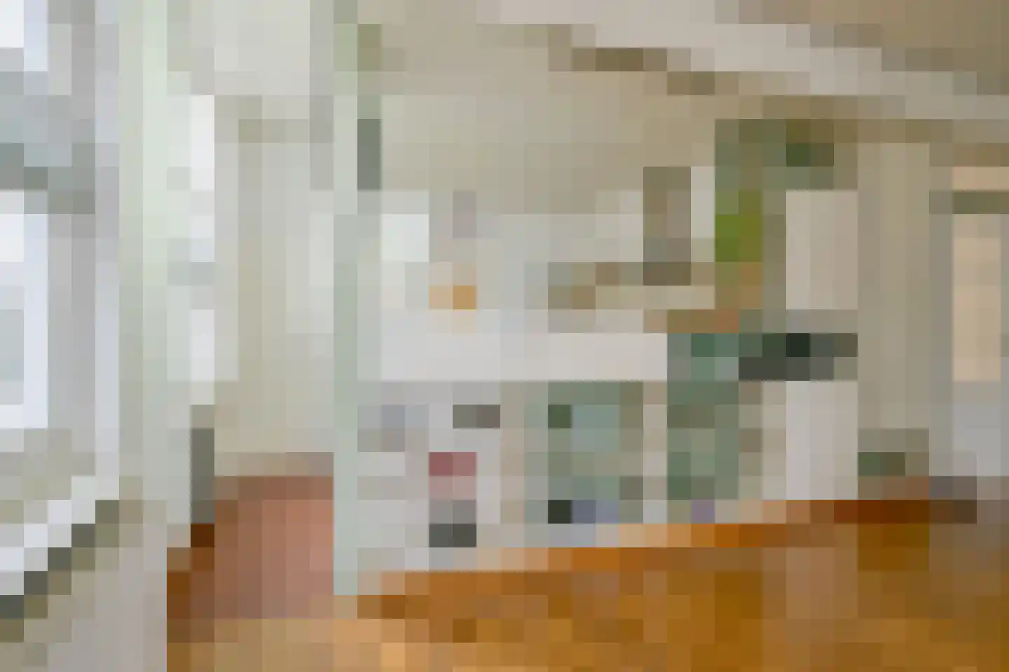 Westeinde 49 Schermerhorn thumbnail 17