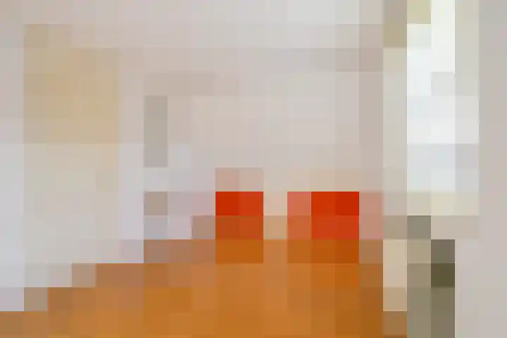 Westeinde 49 Schermerhorn thumbnail 20