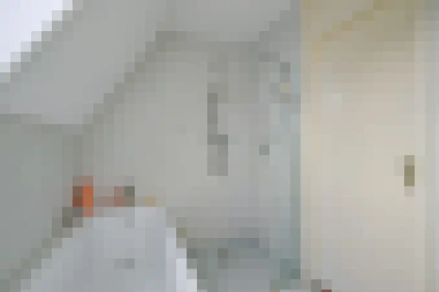 Westeinde 49 Schermerhorn thumbnail 22