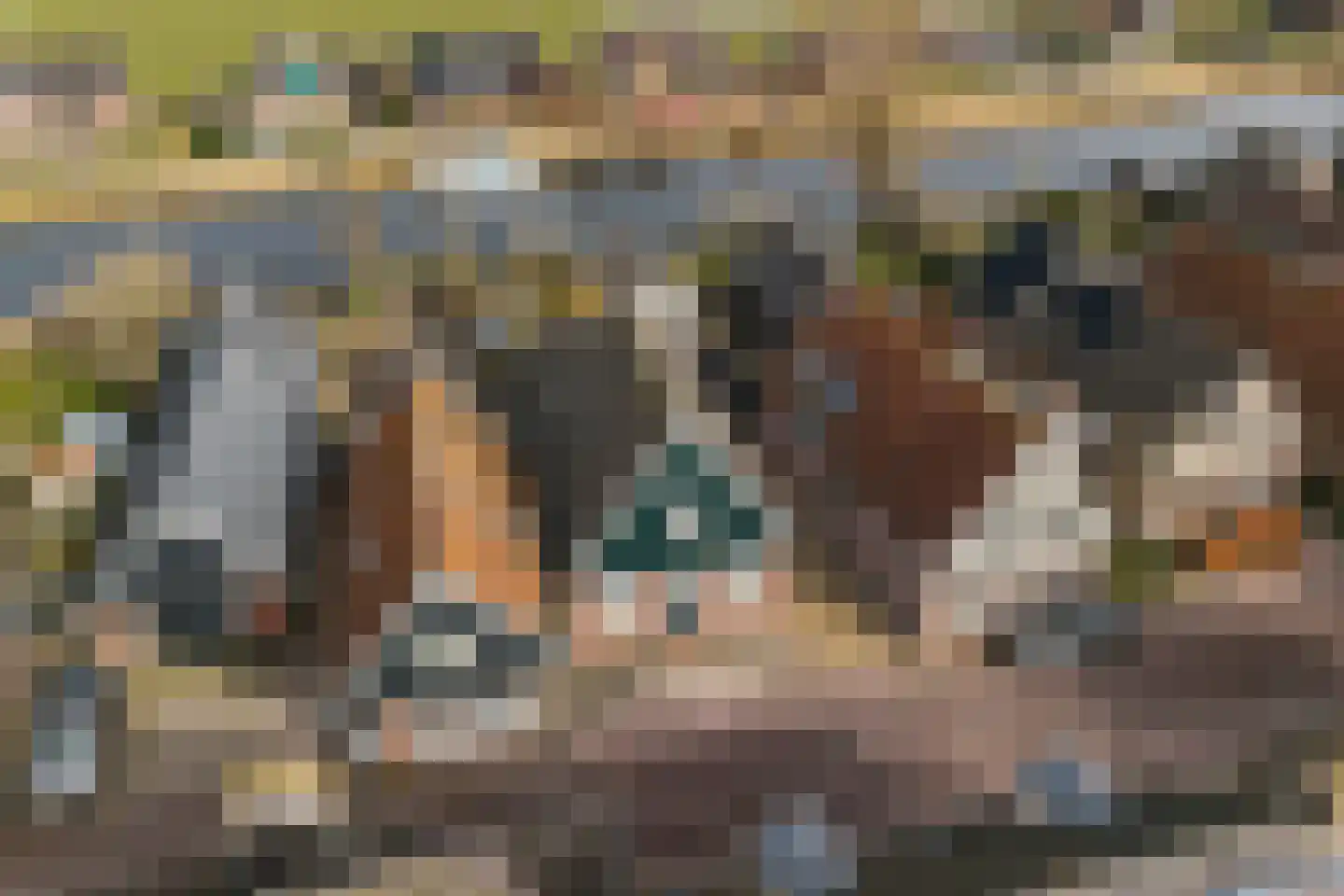 Westeinde 49 Schermerhorn thumbnail 27