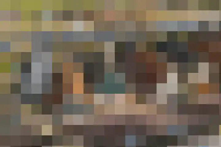 Westeinde 49 Schermerhorn thumbnail 27