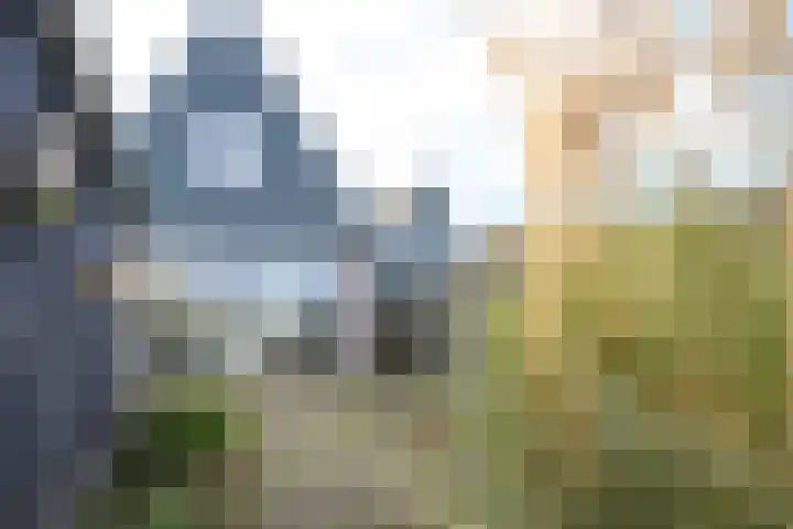 Westeinde 49 Schermerhorn thumbnail 30