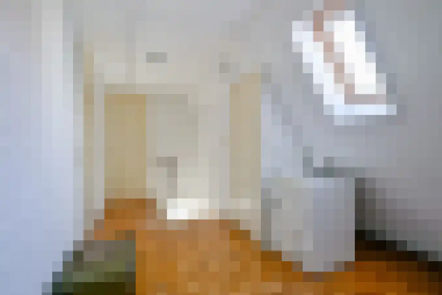 Westeinde 49 Schermerhorn thumbnail 30