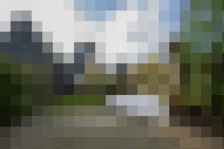 Westeinde 49 Schermerhorn thumbnail 31