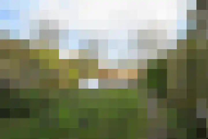Westeinde 49 Schermerhorn thumbnail 32