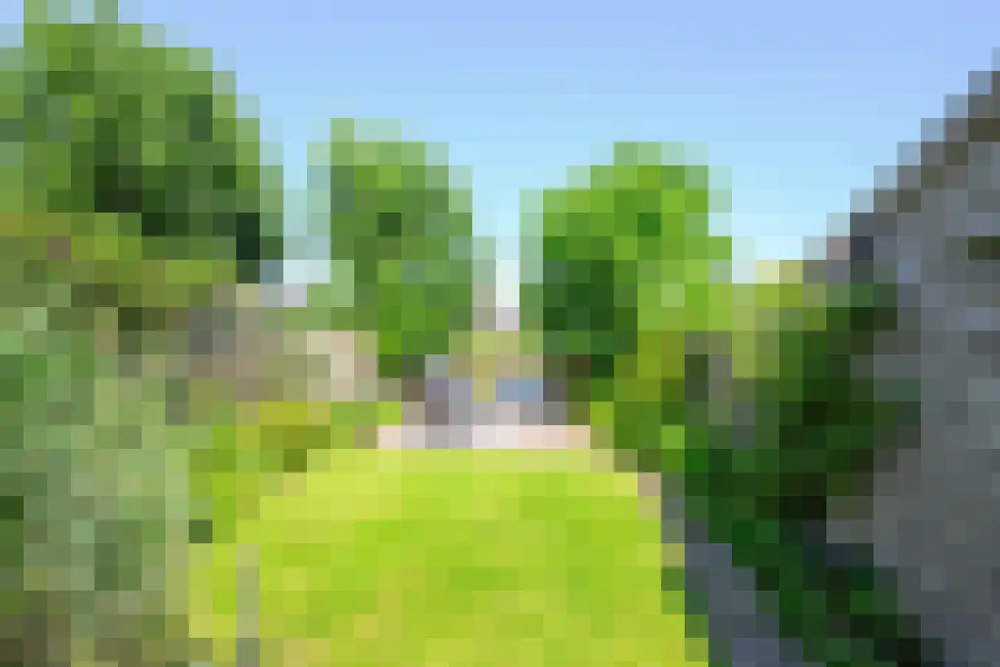Westeinde 49 Schermerhorn thumbnail 34