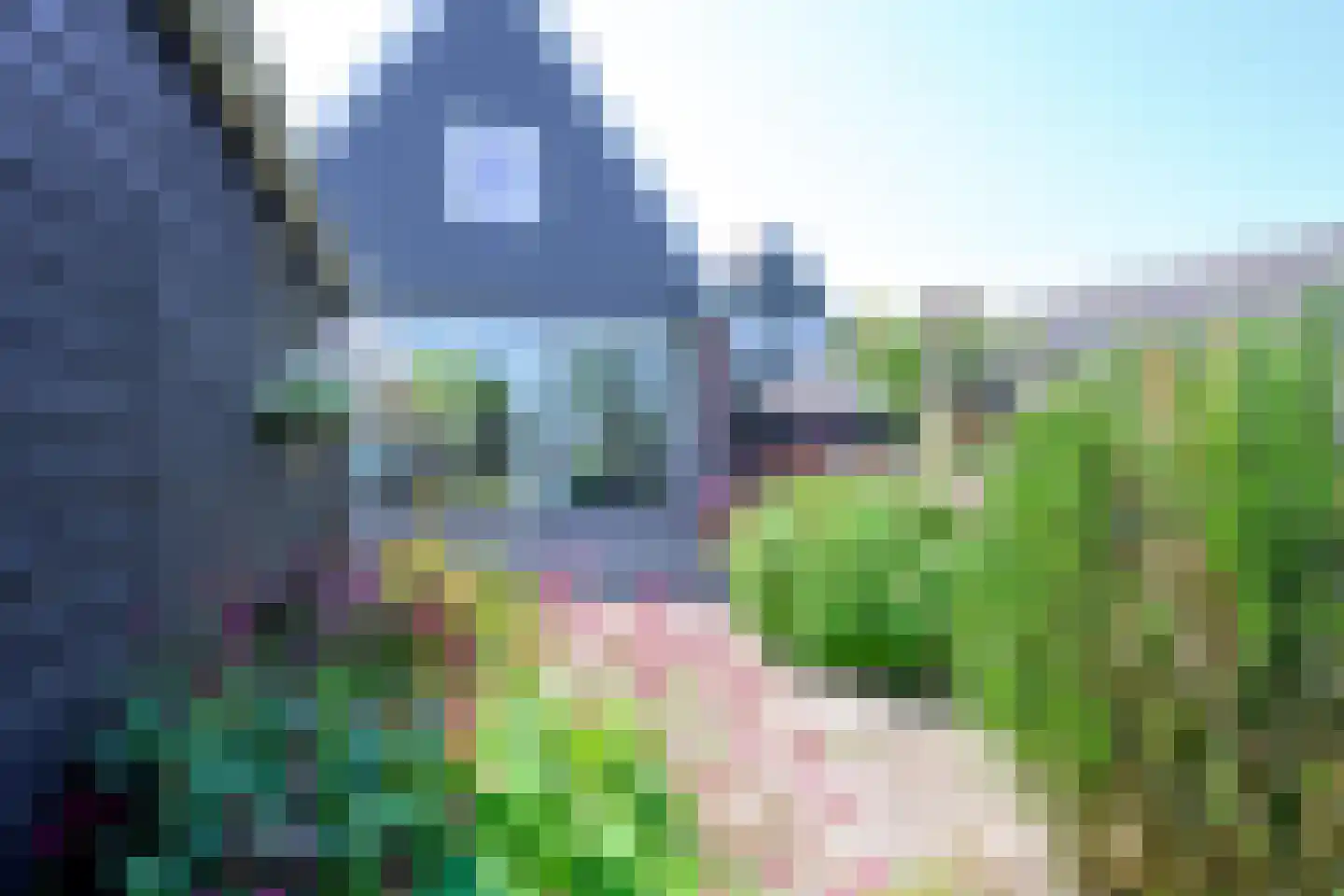 Westeinde 49 Schermerhorn thumbnail 36