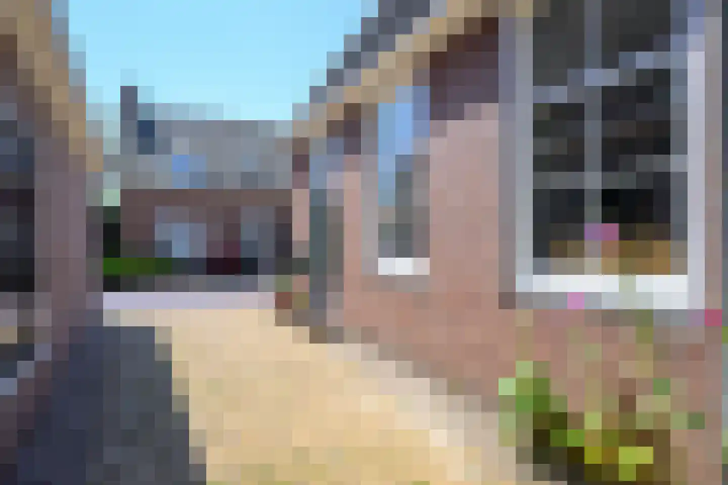 Westeinde 49 Schermerhorn thumbnail 39