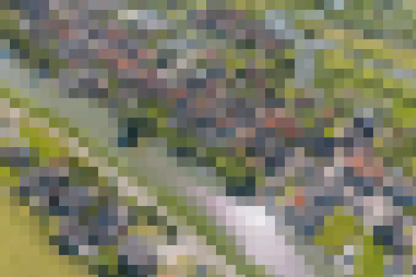 Westeinde 49 Schermerhorn thumbnail 42