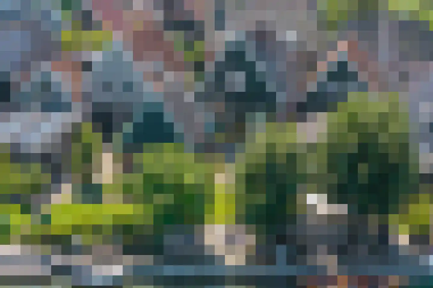 Westeinde 49 Schermerhorn thumbnail 44