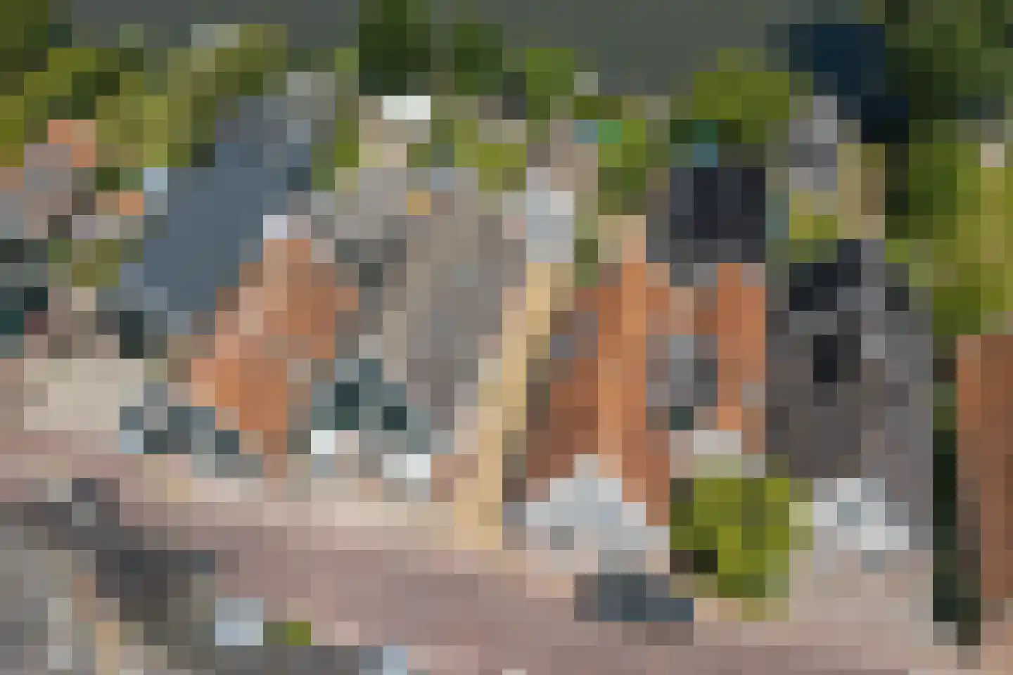 Westeinde 49 Schermerhorn thumbnail 5