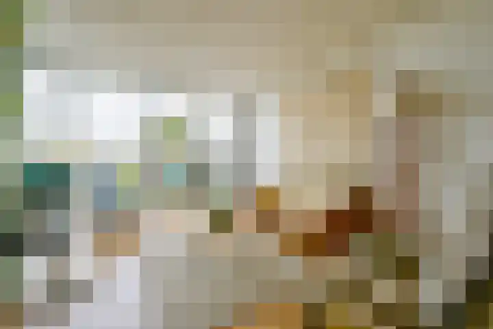 Westeinde 49 Schermerhorn thumbnail 6