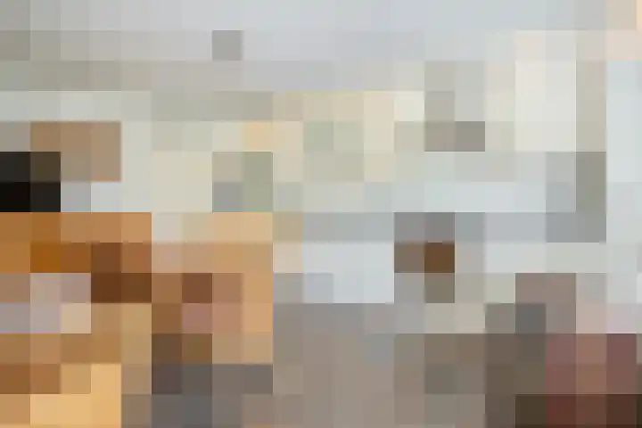 Westeinde 500 Vriezenveen thumbnail 13