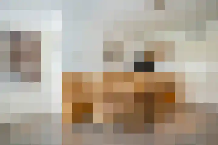 Westeinde 500 Vriezenveen thumbnail 15