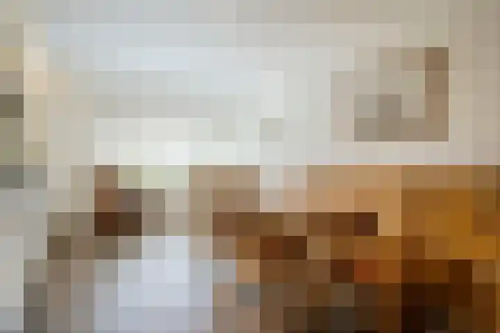 Westeinde 500 Vriezenveen thumbnail 16